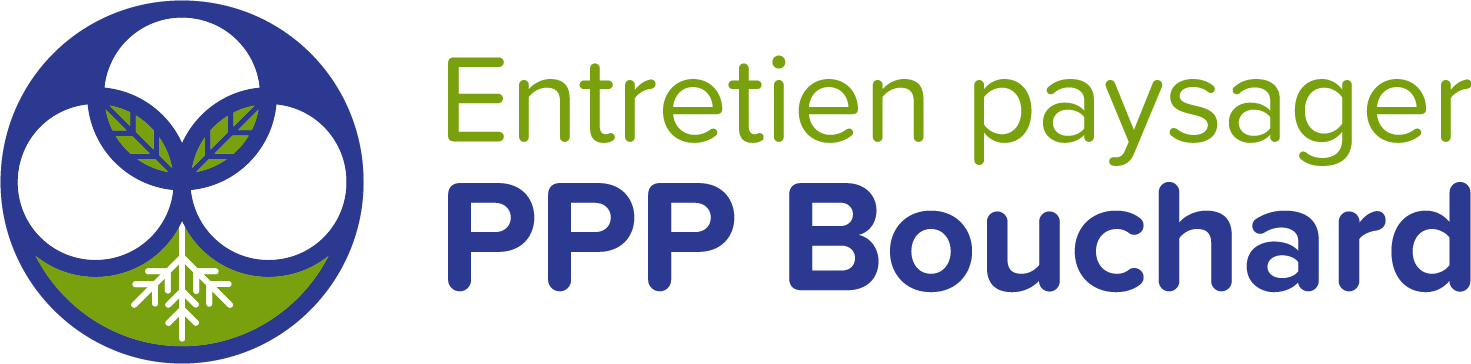 Logo - PPP Bouchard